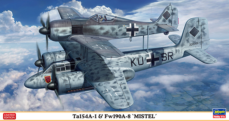 hasegawa02193