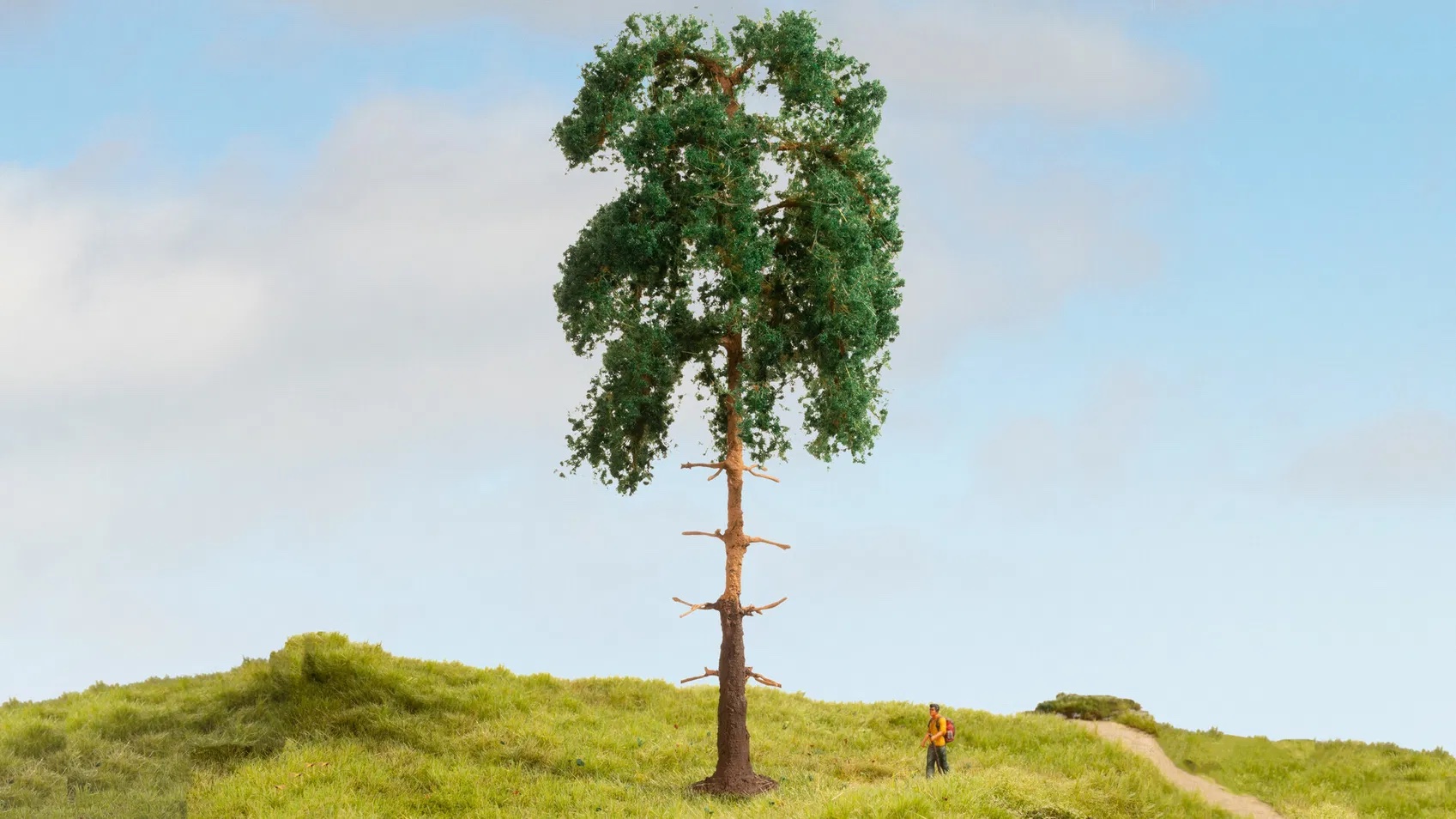 noch-20141-1-Kiefer-Modellbahn-Baum-Architekturmodell