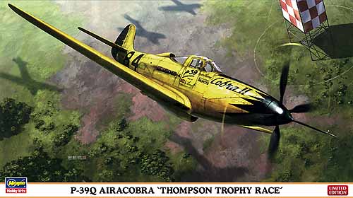 hasegawa09974