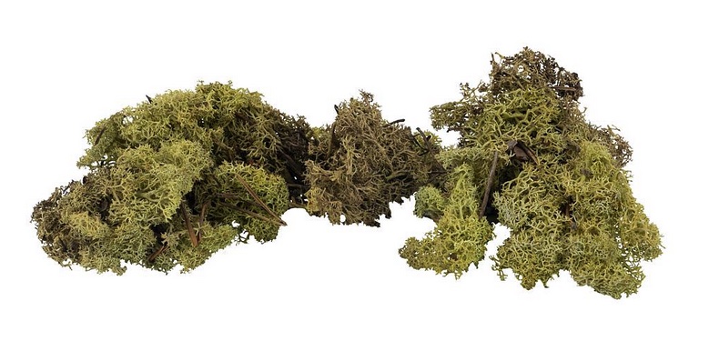 faller-170432-2-Islandmoos-olivgrün-Modellbahn-Anlagenbau-Diorama