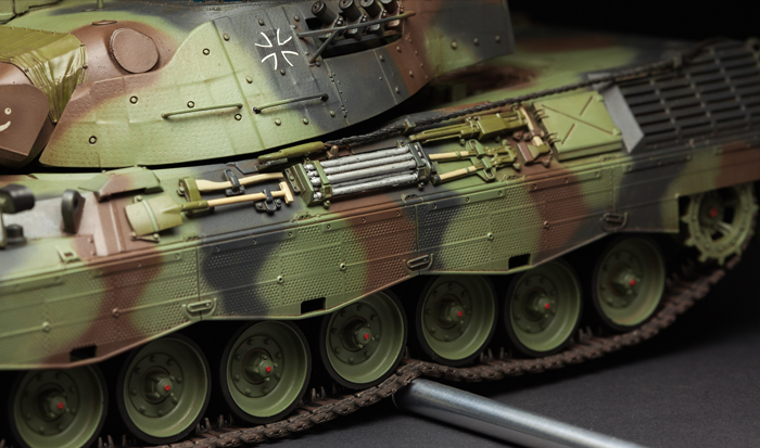 mengTS015-4-Leopard-1-A5