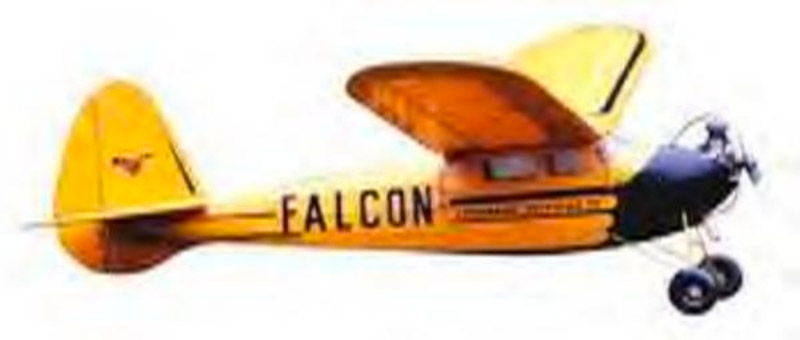 ben-buckle-falcon ben-buckle-falcon