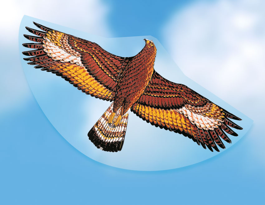 günther-flugspiele-1146-1-Steinadler-Einleiner-Drachen-Folie günther-flugspiele-1146-1-Steinadler-Einleiner-Drachen-Folie