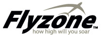 Flyzone Flyzone