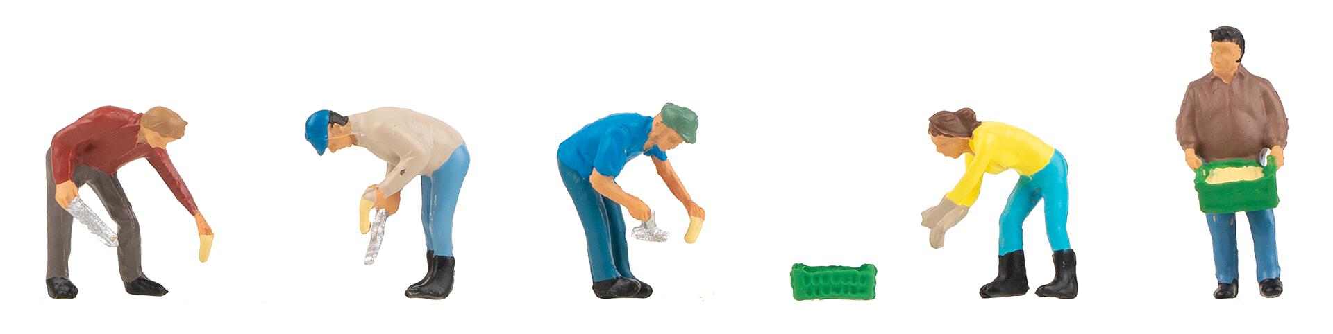 faller-151644-Bei-der-Ernte-Erntehelfer-Feldarbeit