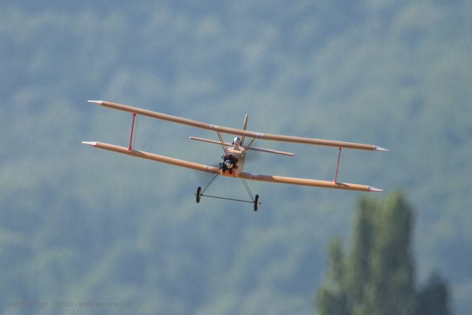 aeronaut-133300-6-Udet-Flamingo-Doppeldecker-Jubliäumsmodell-Ernst-Udet-Heinz-Rühmann-Quax
