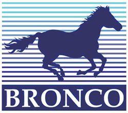 Bronco Models Bronco Models