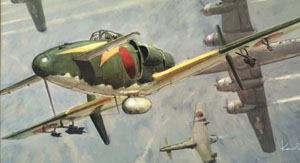 hasegawa09846 hasegawa09846
