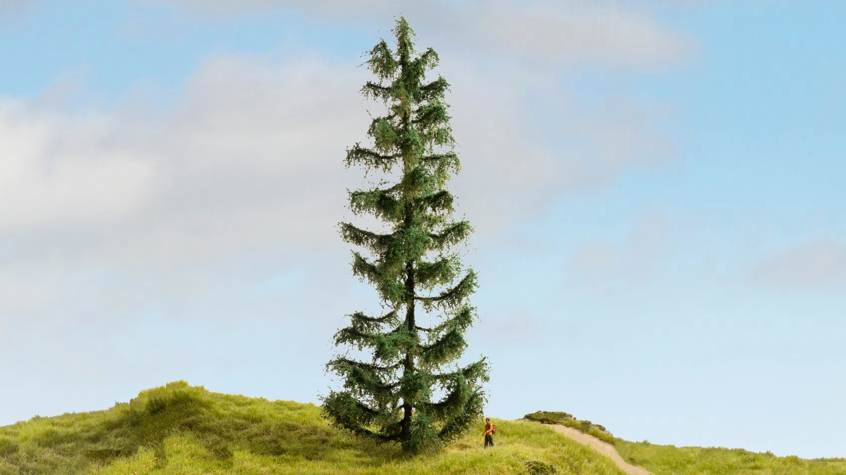 noch-20192-1-Fichte-Modellbahn-Baum-Architekturmodell