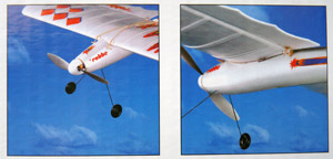 robbe3042-2