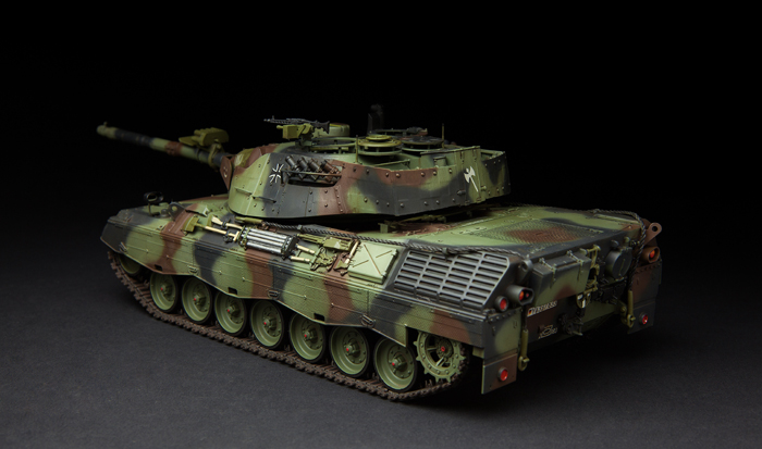 mengTS015-2-Leopard-1-A5