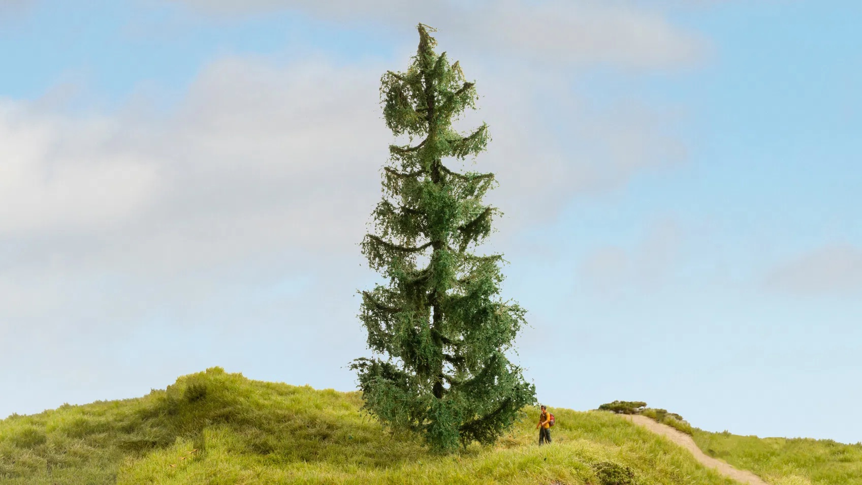 noch-20190-1-Fichte-Modellbahn-Baum-Architekturmodell noch-20190-1-Fichte-Modellbahn-Baum-Architekturmodell