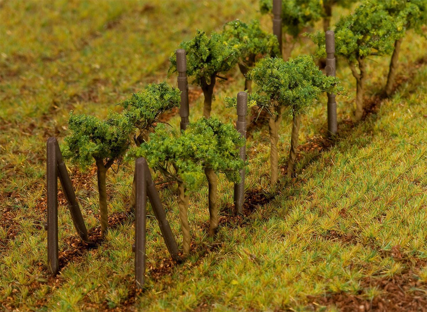 faller-181254-24-Weinreben-Weinstöcke-Weinberg-Winzerfest